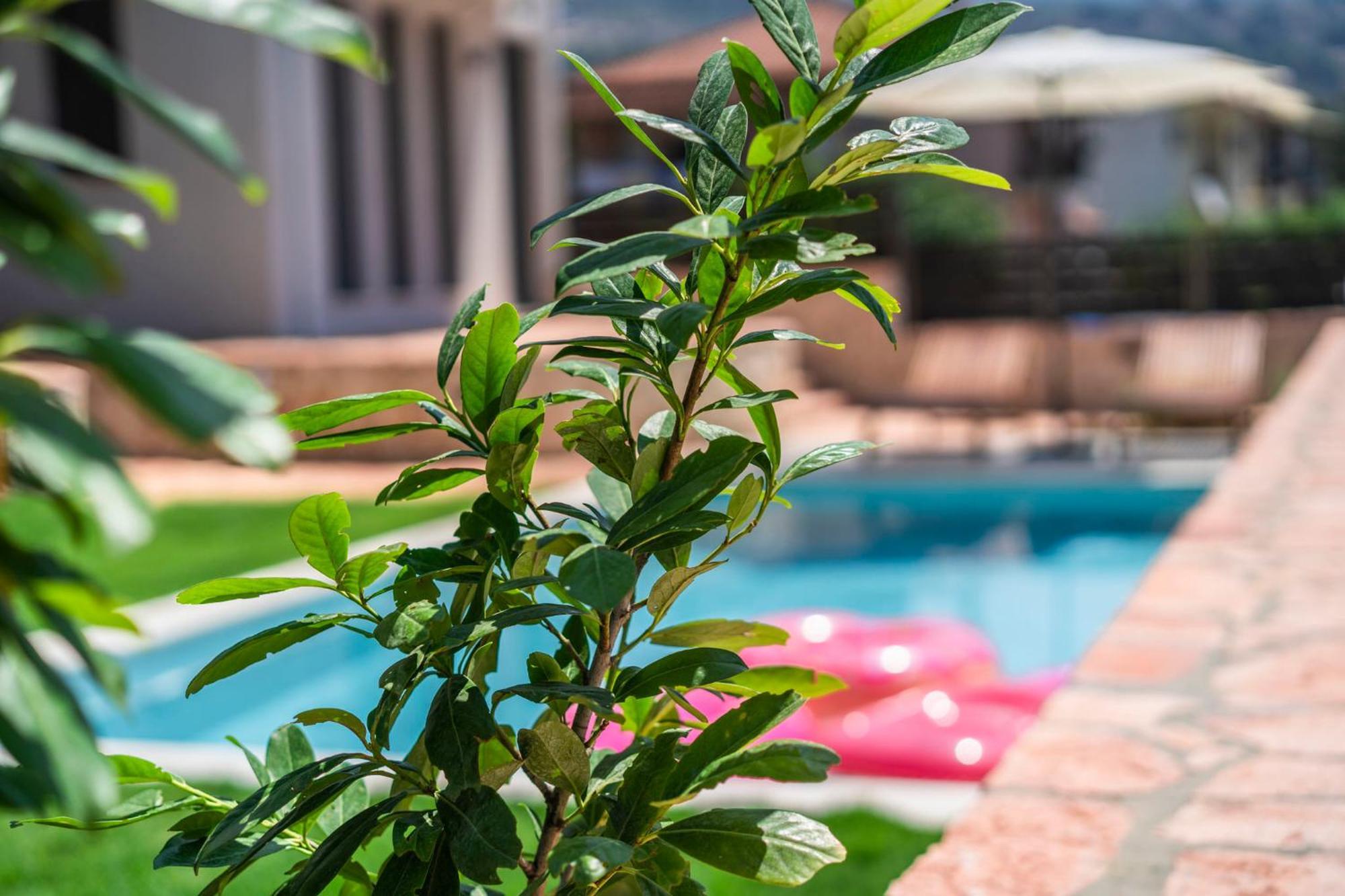 Marival Luxury Living - Adults Only Apartment Sivota  Luaran gambar